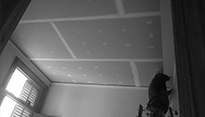 0.7 arquitectura acoyte