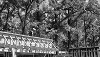 0.7 arquitectura Coihues