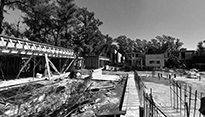 0.7 arquitectura Coihues