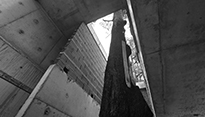 0.7 arquitectura Coihues