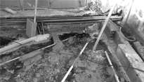 0.7 Arquitectura ph Viel